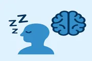 Attività cerebrale durante il sonno e manifestazioni notturne